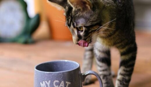 一人用コーヒーメーカーおすすめ人気ランキング15選。在宅勤務のお供に美味しいコーヒーを。